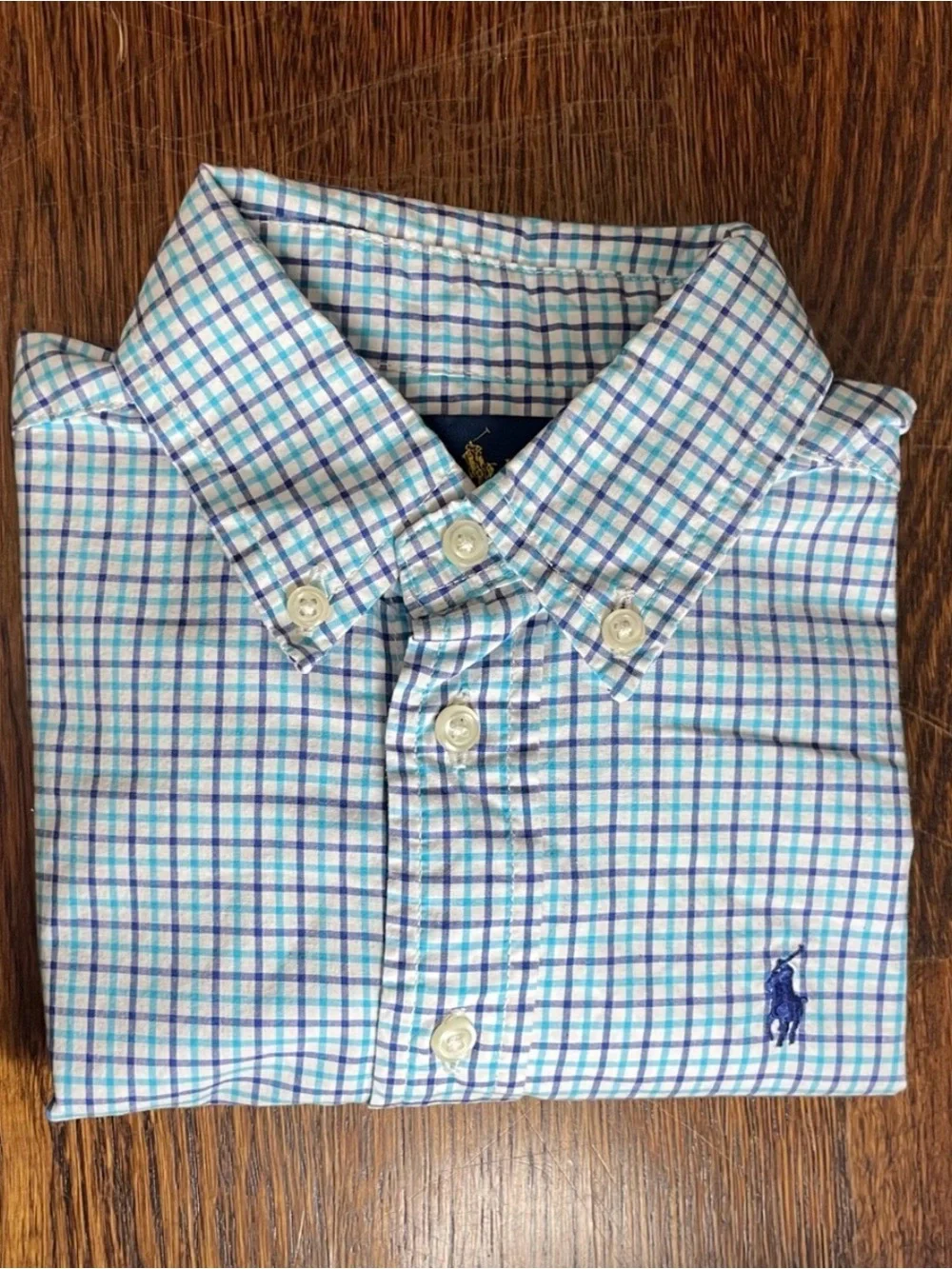 Polo by Ralph Lauren Green and Blue Check Button-Down Shirt